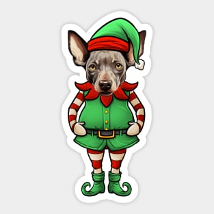 Funny Christmas Elf Hairless Terrier Dog Sticker